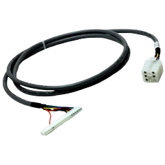 Base Electronics & Wiring